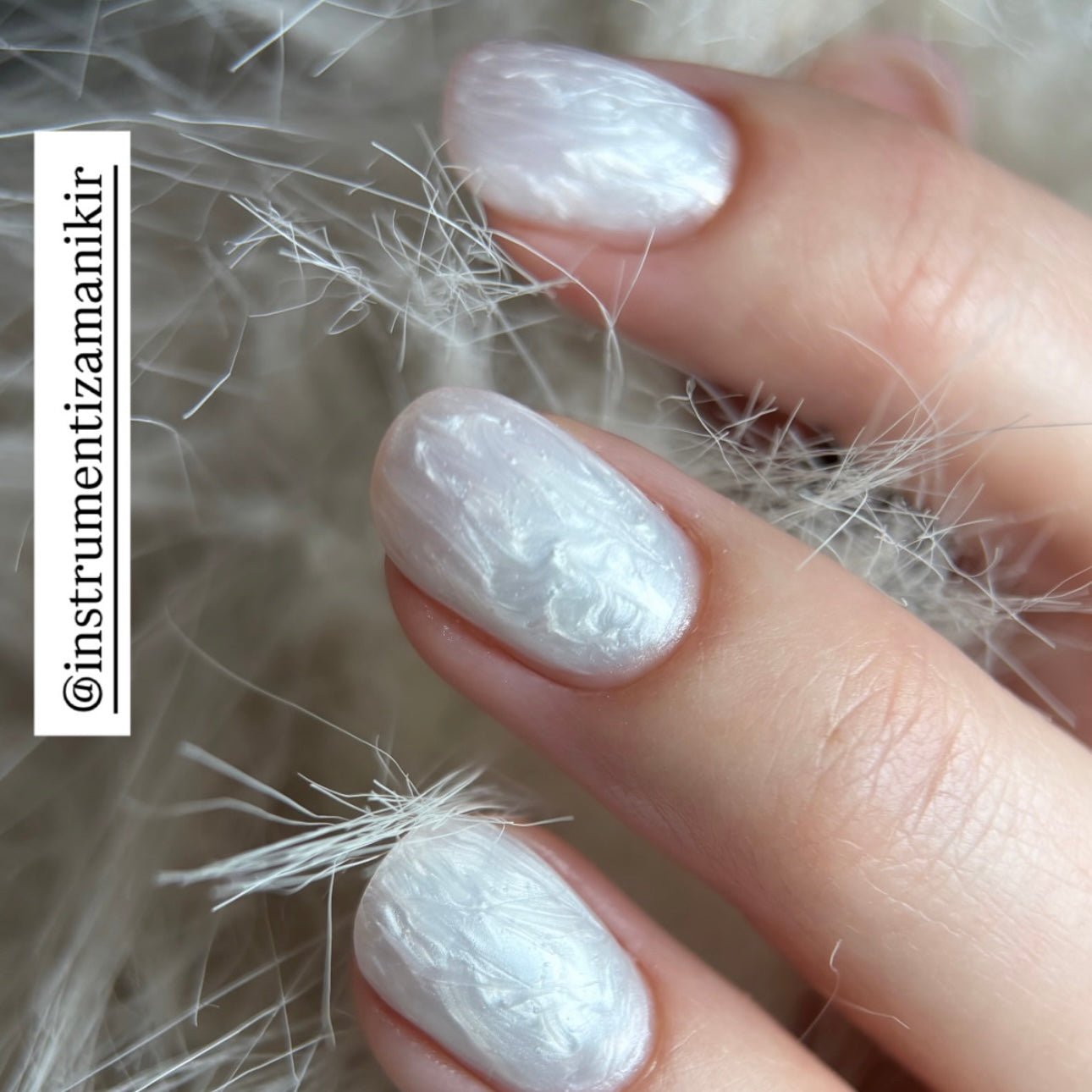 I.Z.M System 021 - Brands of I.Z.M