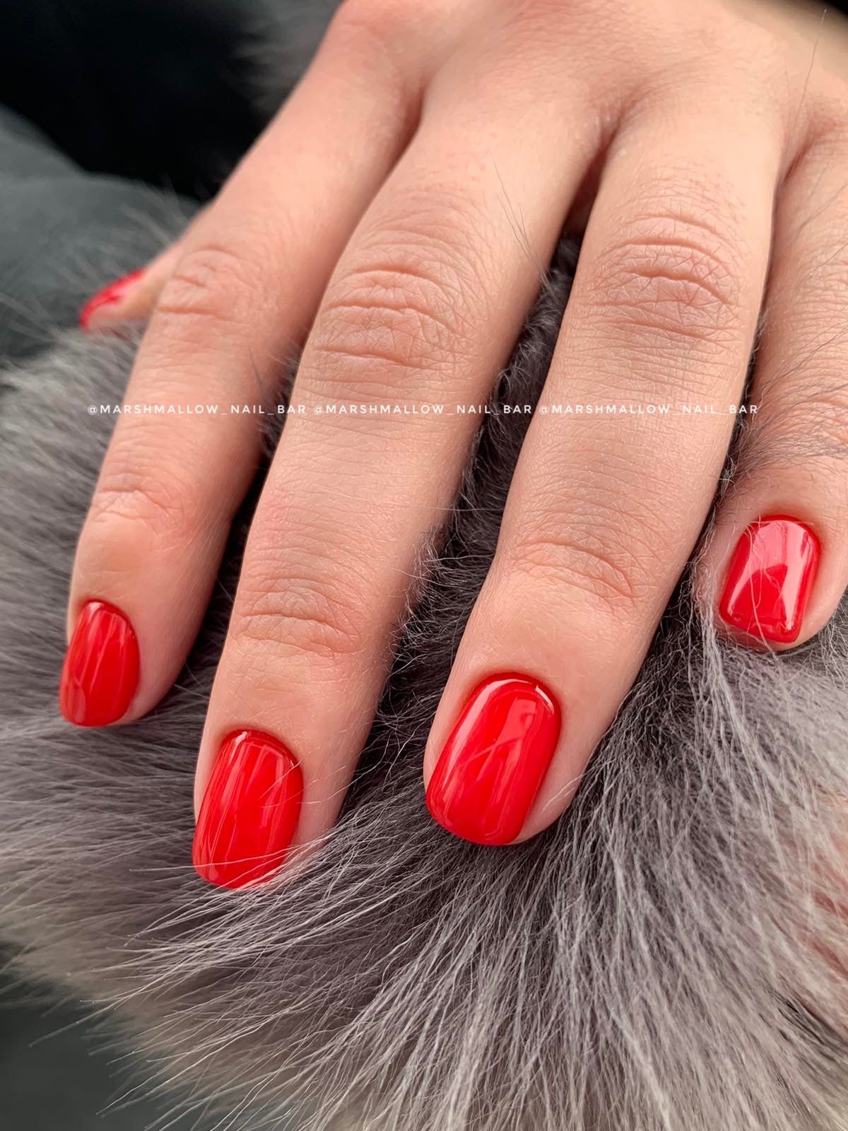 I.Z.M - 002 - Real Red - ( 5ml; 15ml ) - Brands of I.Z.M