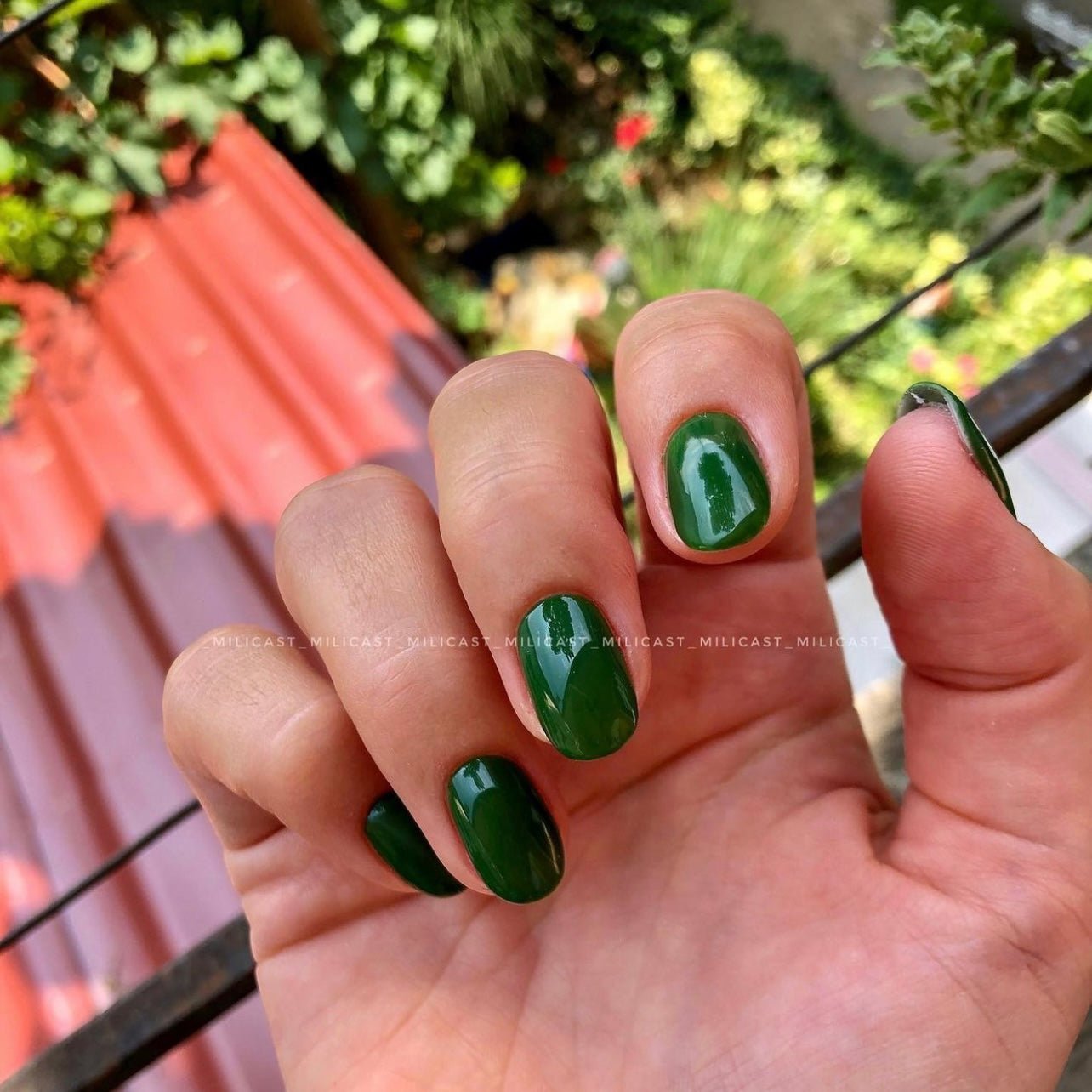 I.Z.M - 009 - Olive Green 🍸 - ( 5ml; 15ml ) - Brands of I.Z.M