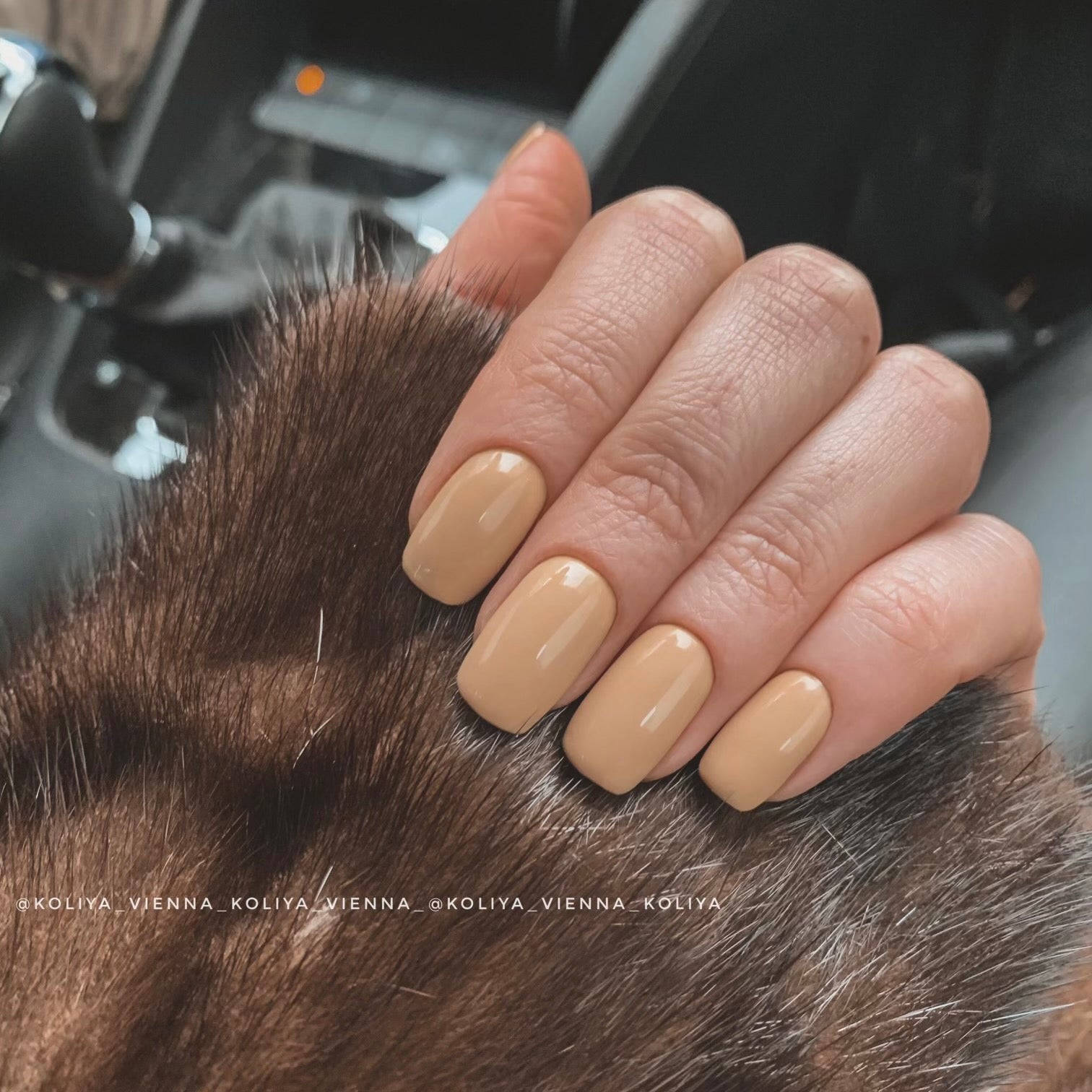 I.Z.M - 014 🐪 - ( 5ml; 15ml ) - Brands of I.Z.M