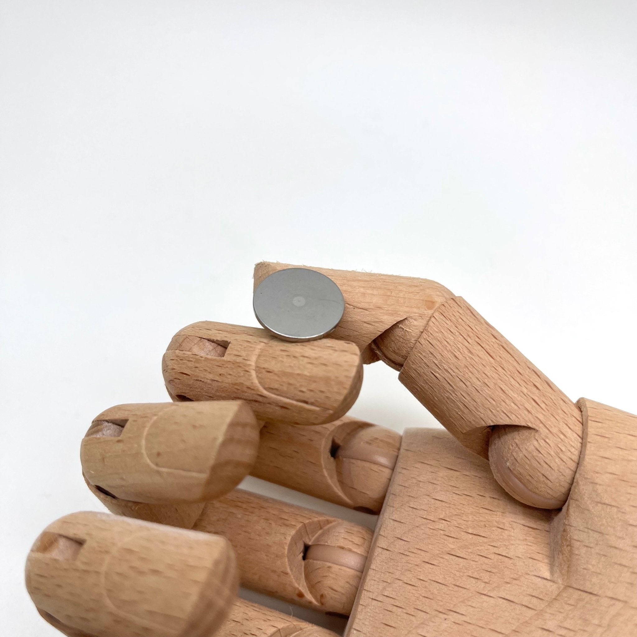 I.Z.M disk S - Brands of I.Z.M