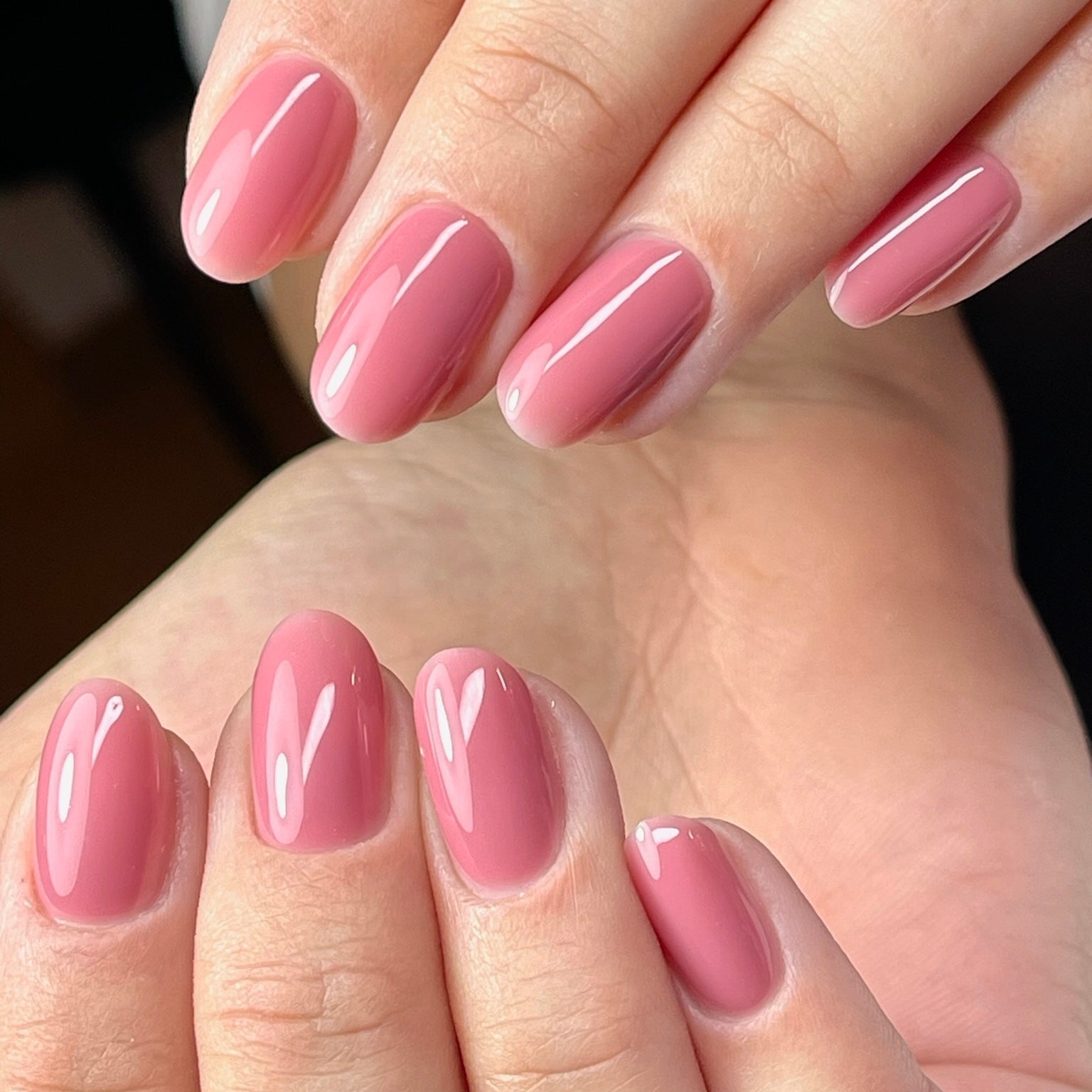 I.Z.M System 015 - Brands of I.Z.M